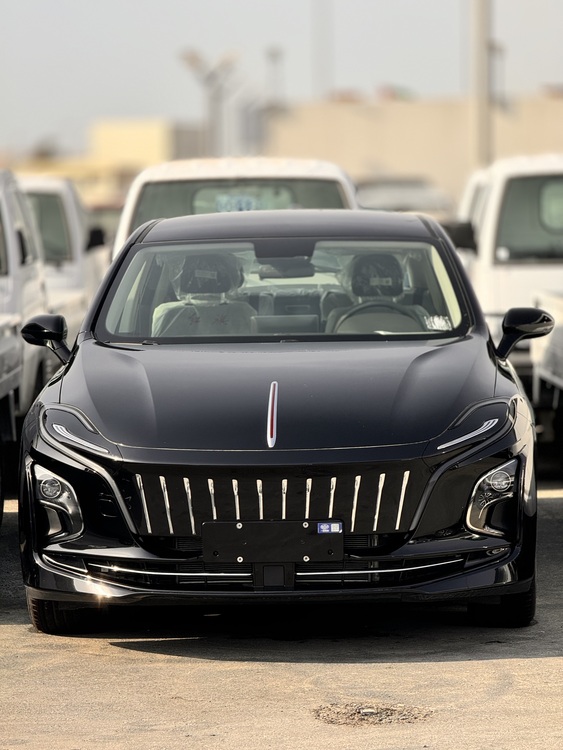 HONGQI E-QM5 LUXURY