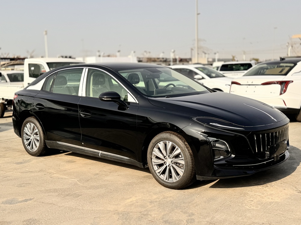 HONGQI E-QM5 LUXURY