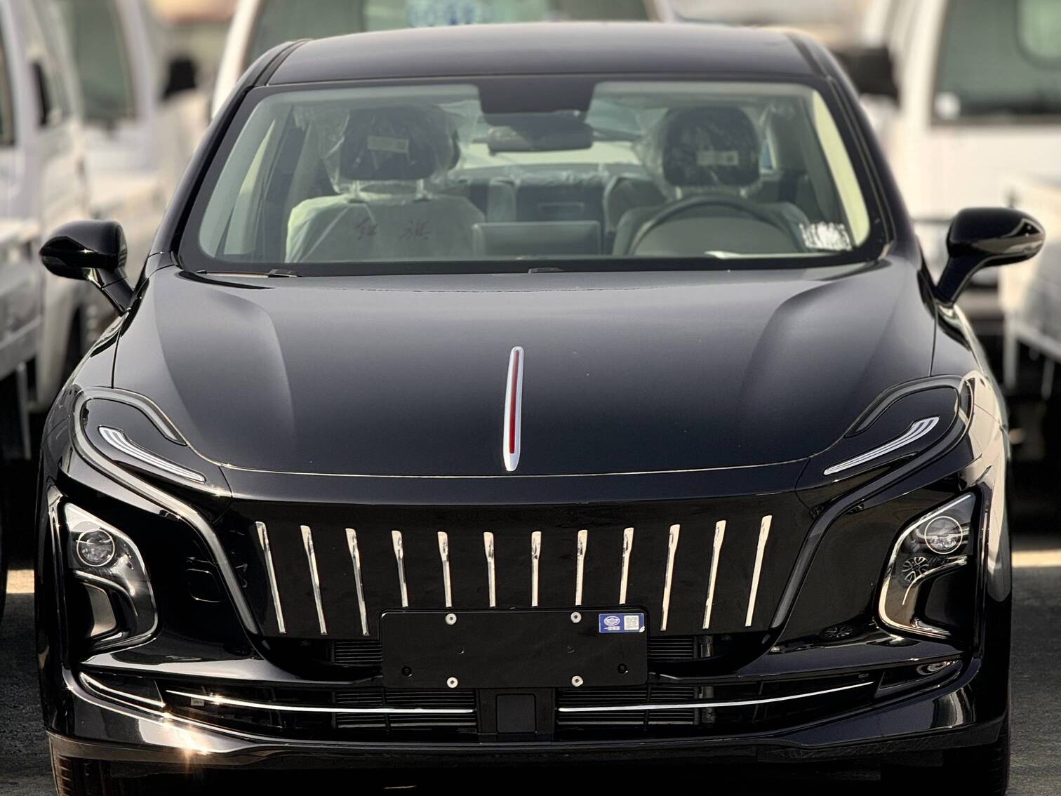 HONGQI E-QM5 LUXURY