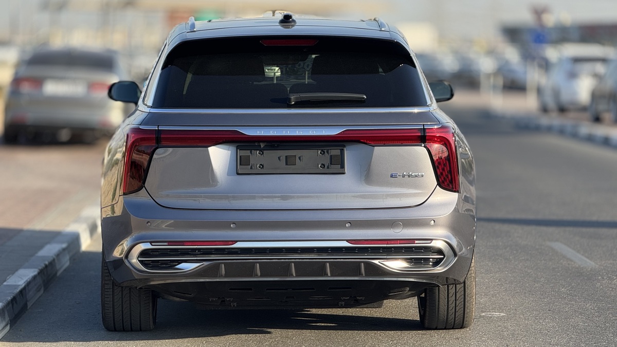 Hongqi E-HS9 Flagship VIP SEATS